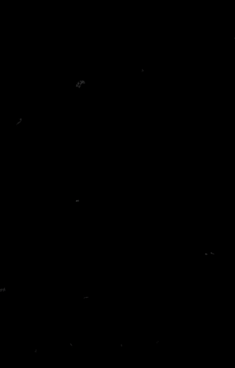 lotus background mobile